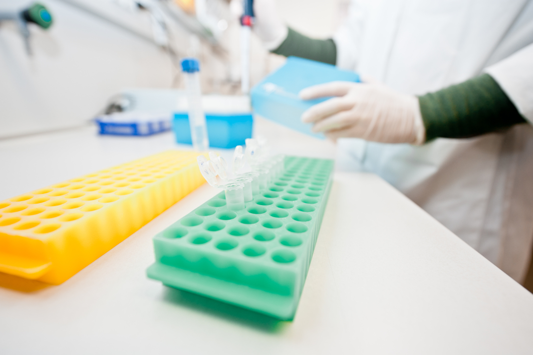 Polygene Faktoren bei Brust- und Eierstockkrebs